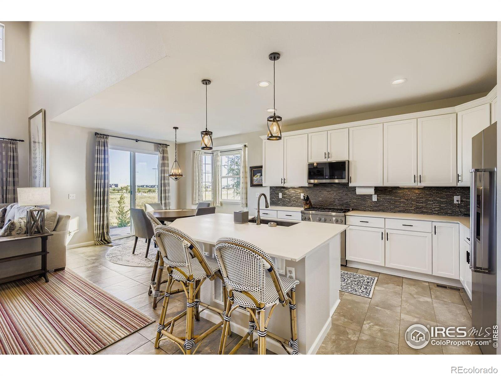 MLS Image #6 for 5025  eagan circle,longmont, Colorado