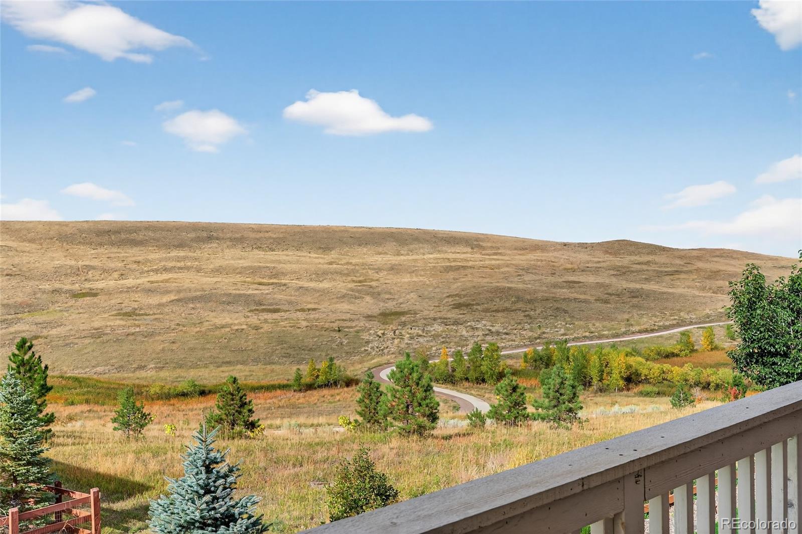 MLS Image #20 for 17335 w 94th avenue,arvada, Colorado