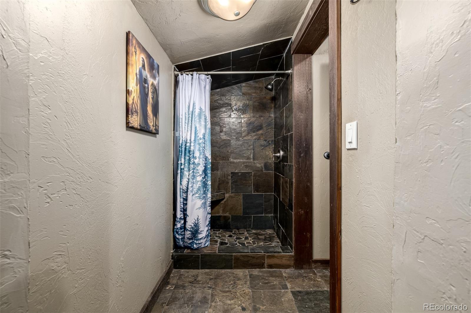 MLS Image #13 for 318  upper forest road,idaho springs, Colorado