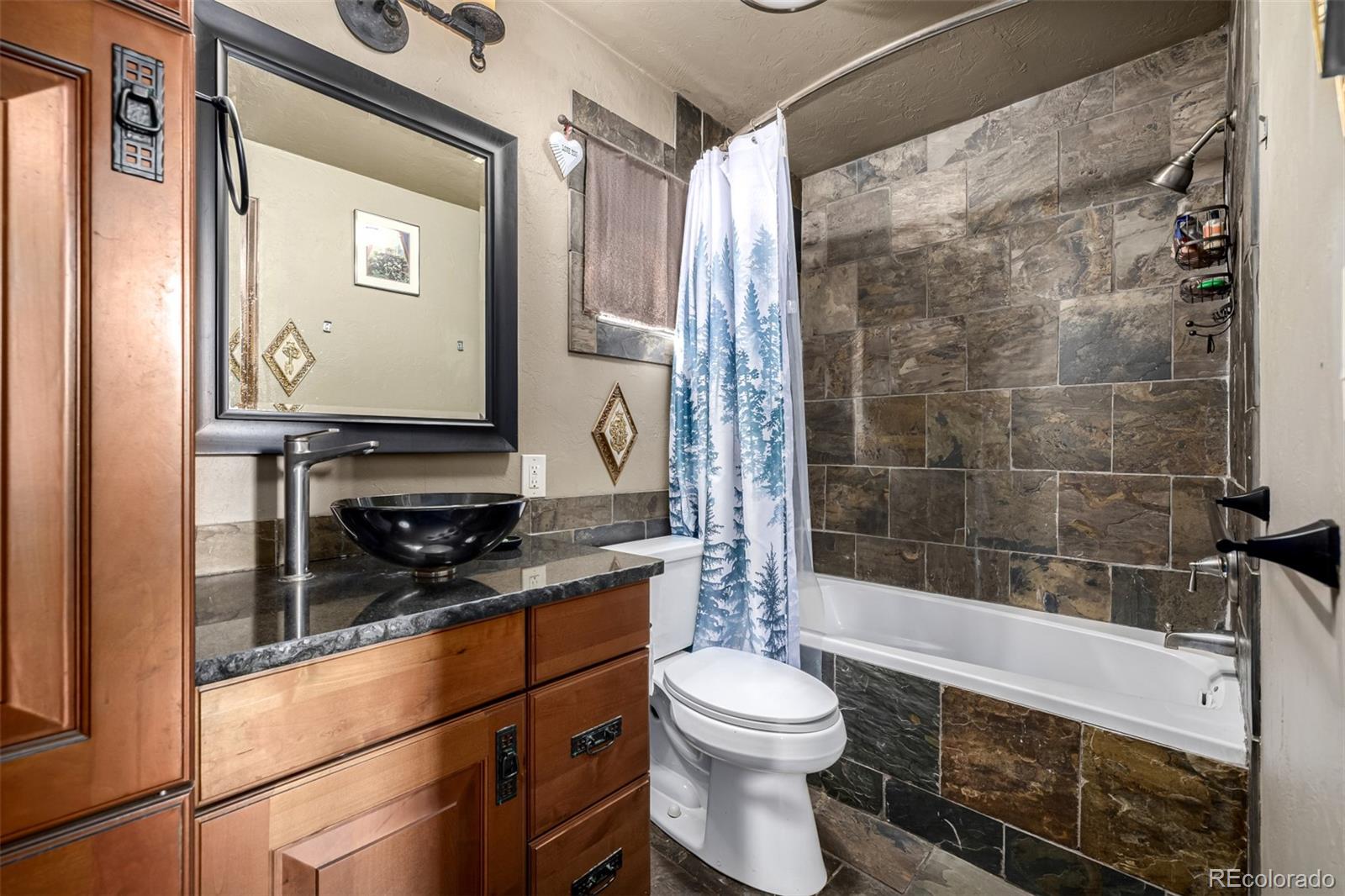 MLS Image #9 for 318  upper forest road,idaho springs, Colorado