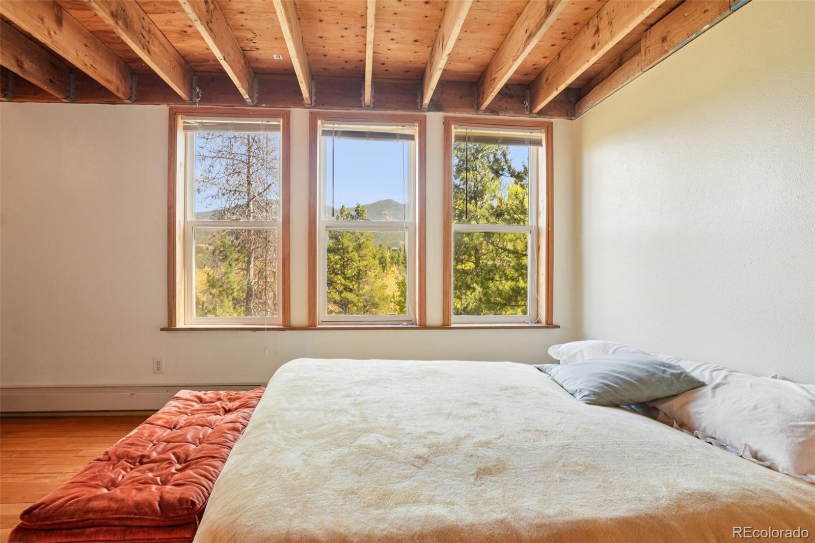 MLS Image #26 for 291  creekwood trail,black hawk, Colorado