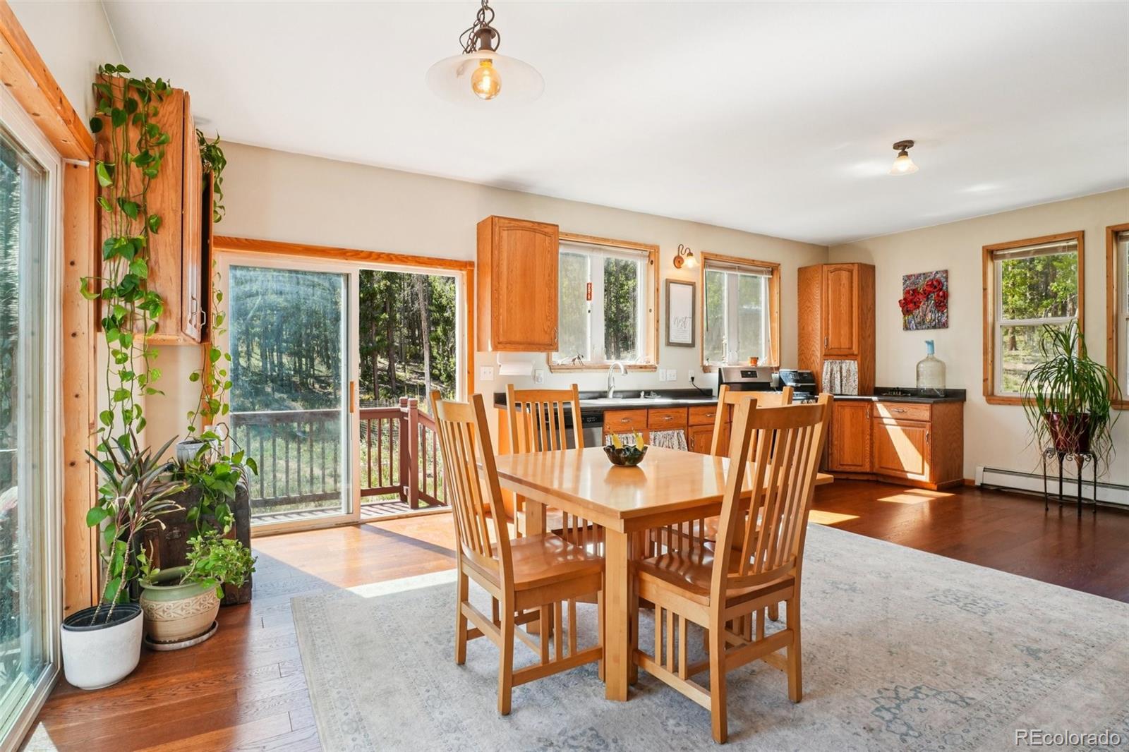MLS Image #9 for 291  creekwood trail,black hawk, Colorado