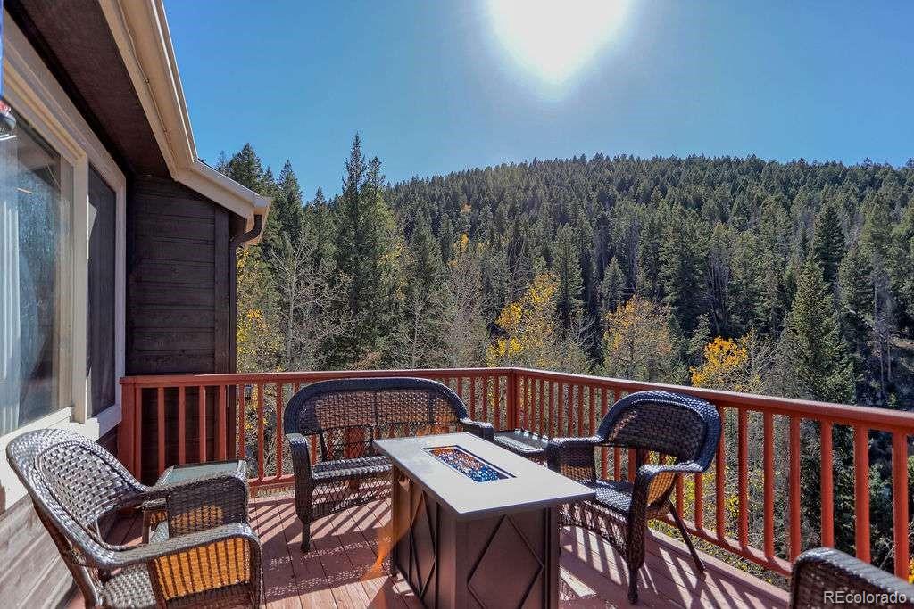 MLS Image #44 for 10197  crest view drive,morrison, Colorado