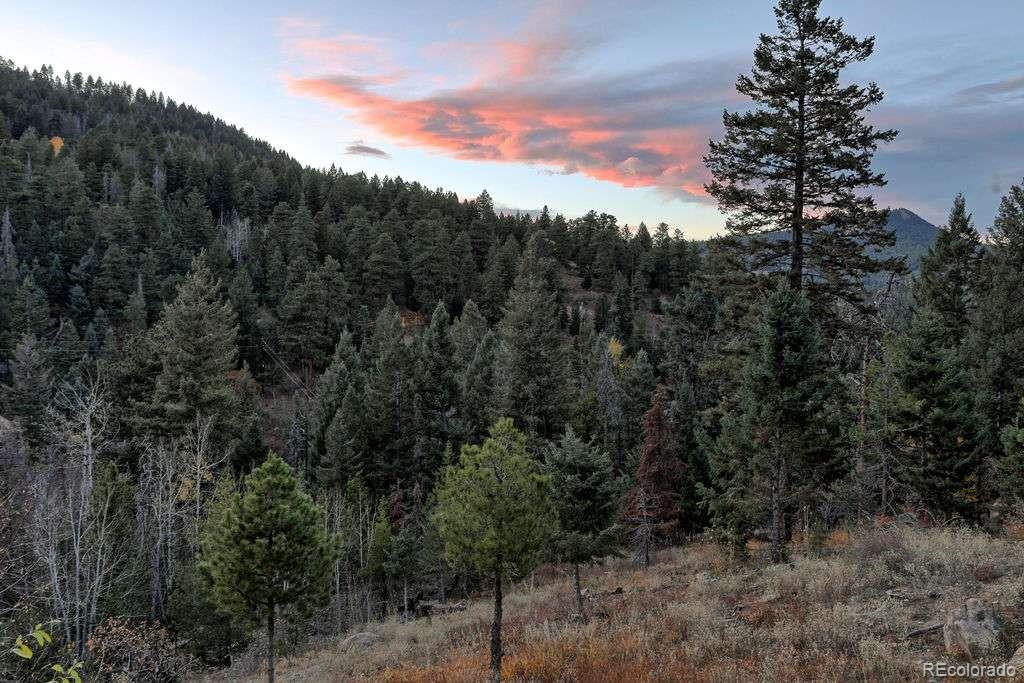 MLS Image #5 for 10197  crest view drive,morrison, Colorado