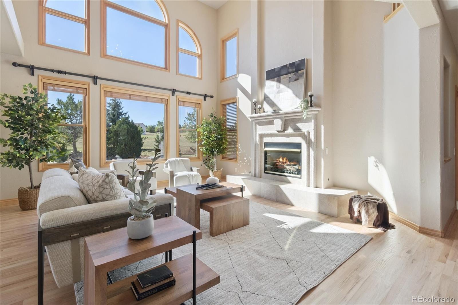 MLS Image #4 for 9880 e 155th place,brighton, Colorado