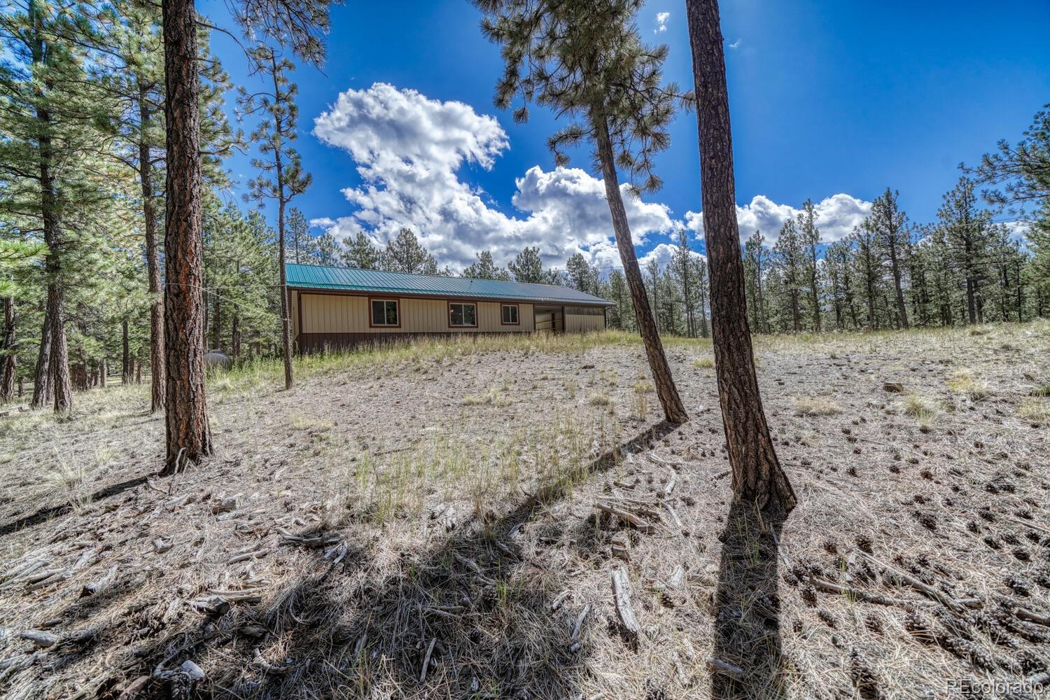 MLS Image #28 for 283  gabbert drive,westcliffe, Colorado