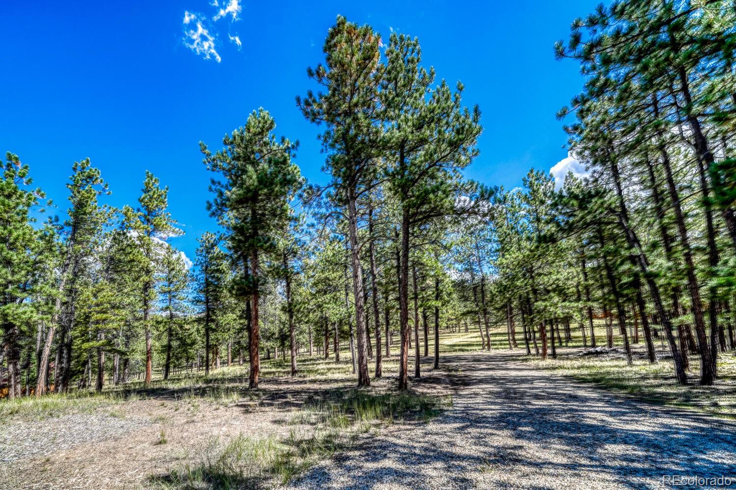 MLS Image #29 for 283  gabbert drive,westcliffe, Colorado