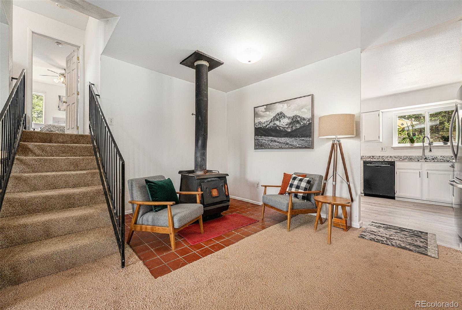 MLS Image #10 for 10142 s turkey creek road,morrison, Colorado