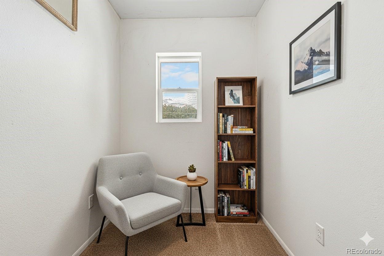 MLS Image #11 for 10142 s turkey creek road,morrison, Colorado