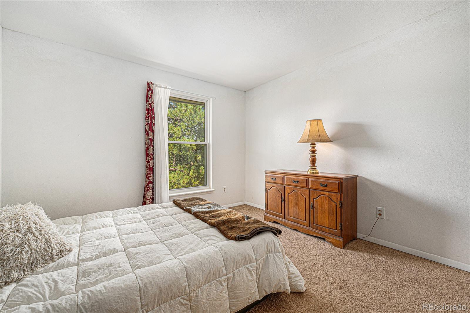 MLS Image #12 for 10142 s turkey creek road,morrison, Colorado