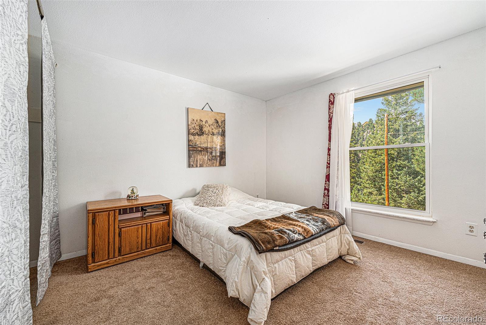 MLS Image #14 for 10142 s turkey creek road,morrison, Colorado