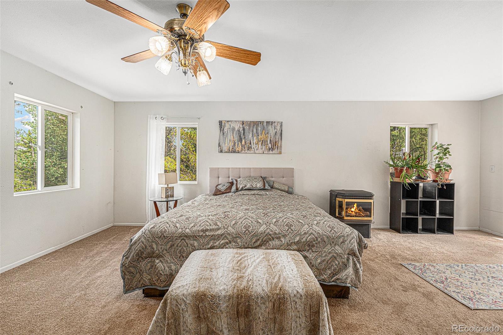 MLS Image #16 for 10142 s turkey creek road,morrison, Colorado