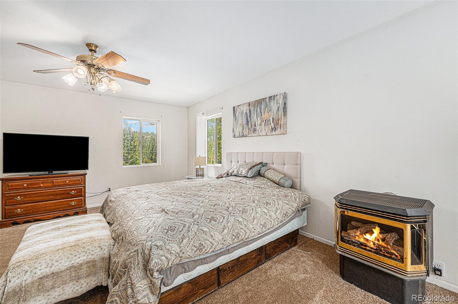 MLS Image #17 for 10142 s turkey creek road,morrison, Colorado