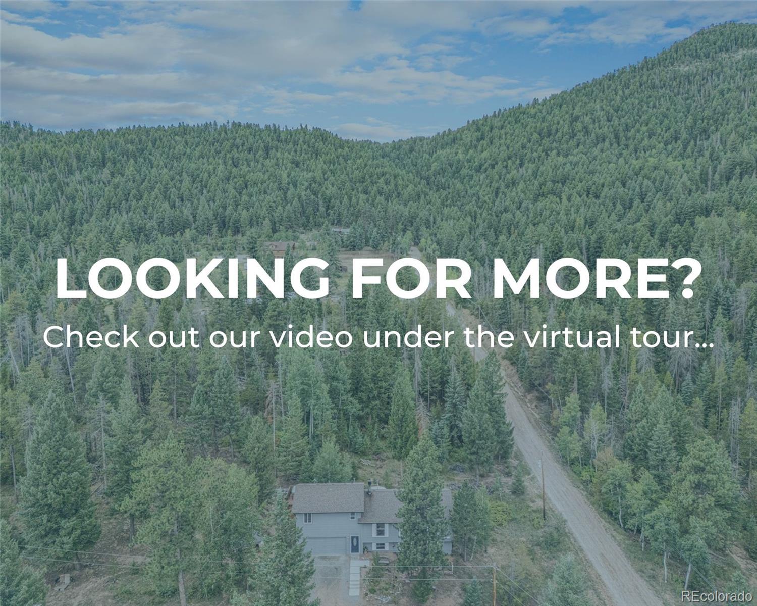 MLS Image #3 for 10142 s turkey creek road,morrison, Colorado