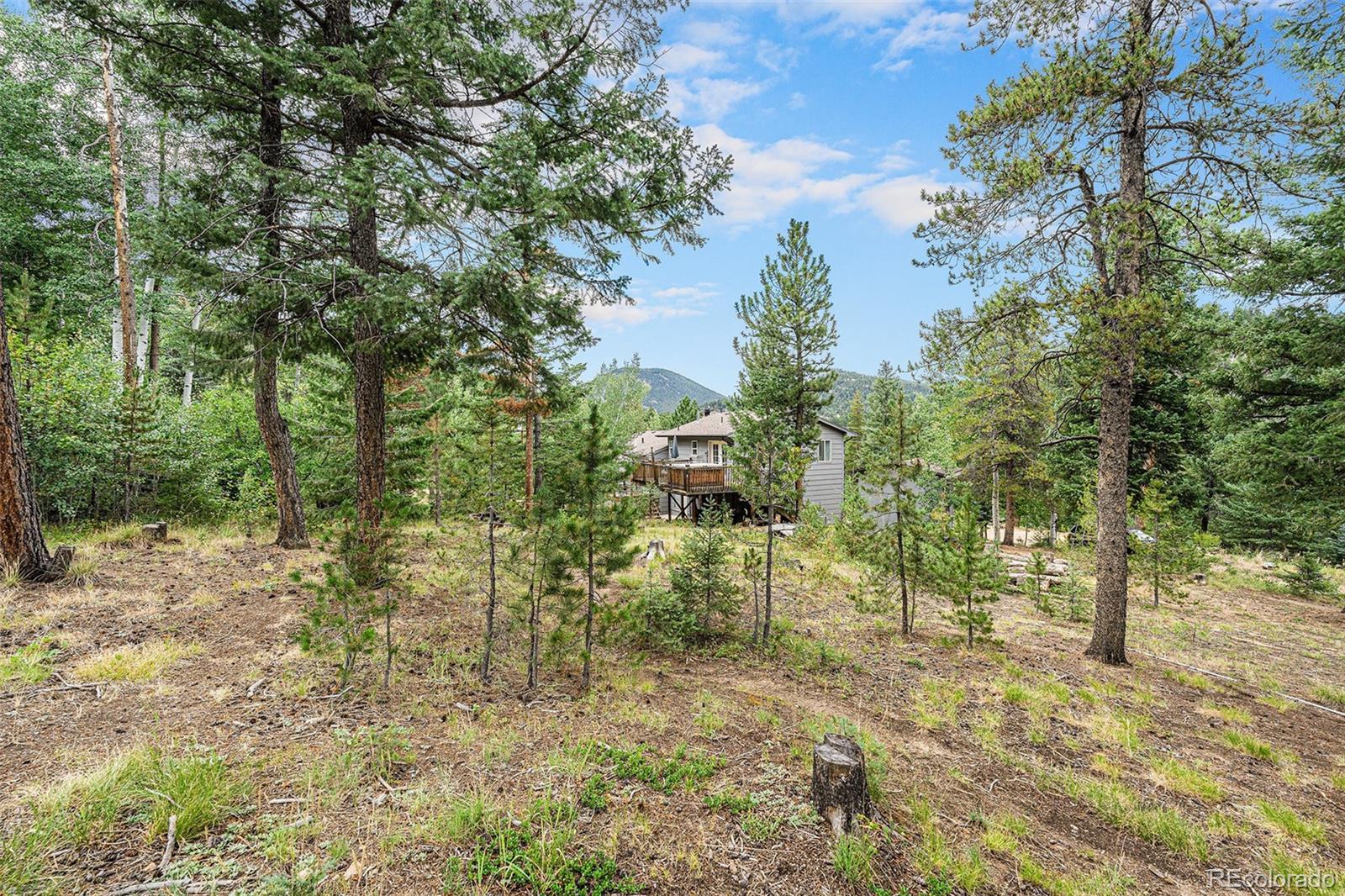 MLS Image #38 for 10142 s turkey creek road,morrison, Colorado