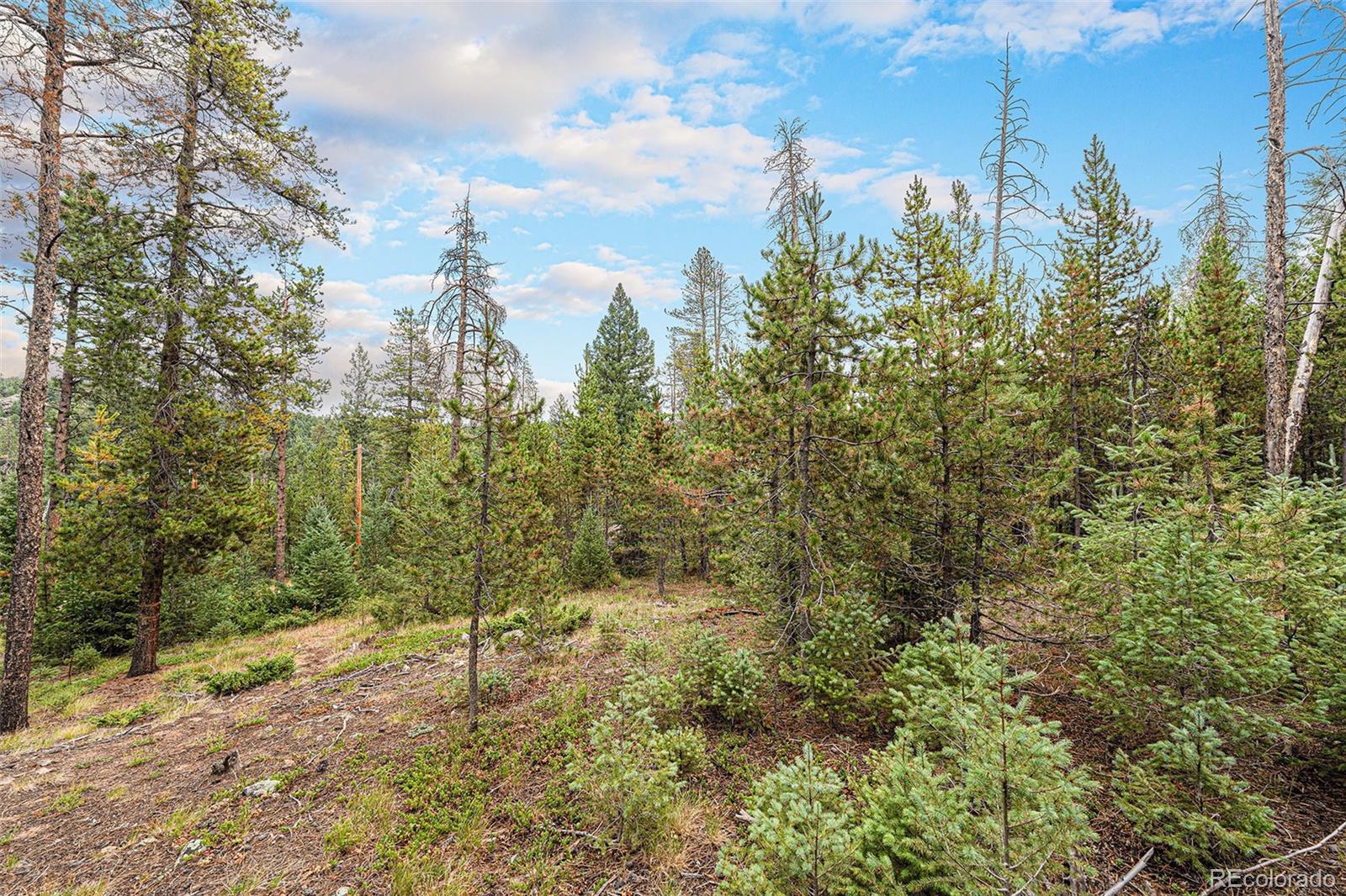 MLS Image #39 for 10142 s turkey creek road,morrison, Colorado