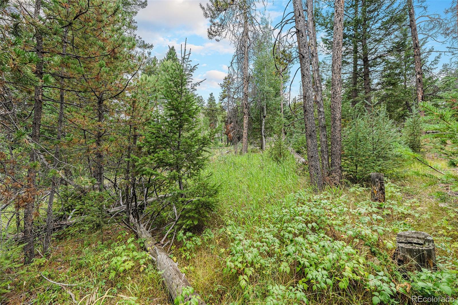MLS Image #40 for 10142 s turkey creek road,morrison, Colorado