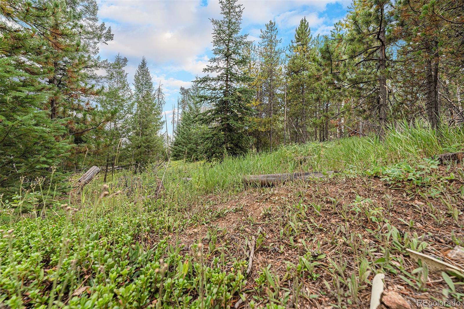 MLS Image #41 for 10142 s turkey creek road,morrison, Colorado