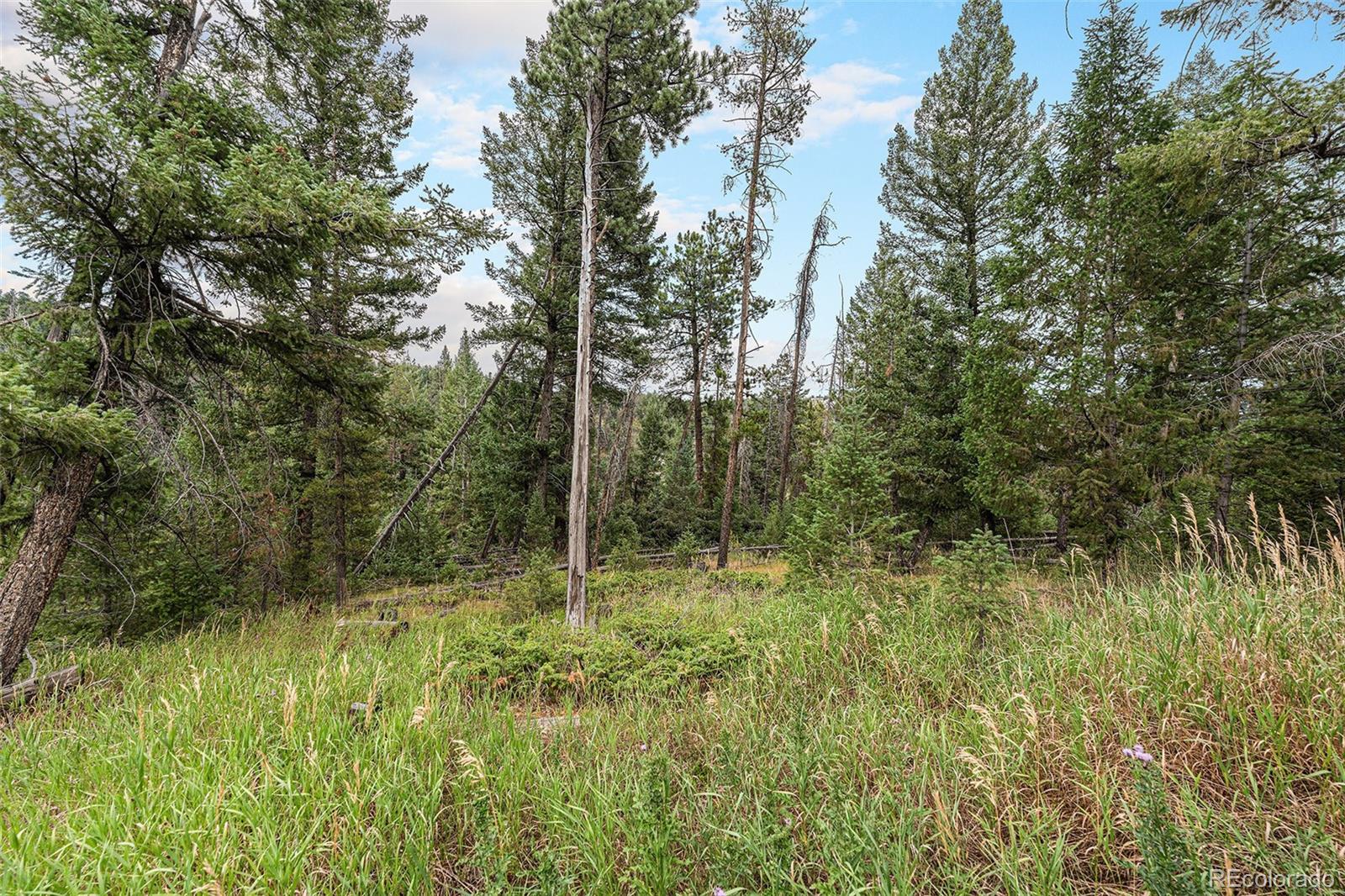 MLS Image #42 for 10142 s turkey creek road,morrison, Colorado