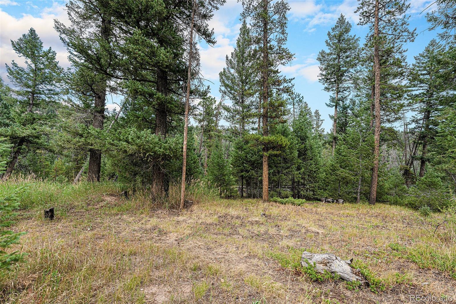 MLS Image #43 for 10142 s turkey creek road,morrison, Colorado