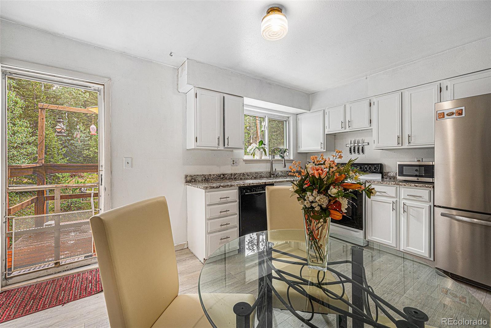 MLS Image #6 for 10142 s turkey creek road,morrison, Colorado