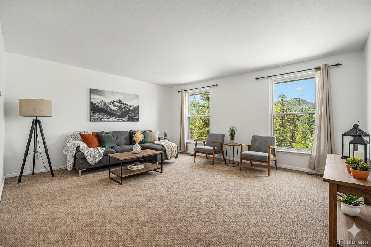 MLS Image #9 for 10142 s turkey creek road,morrison, Colorado