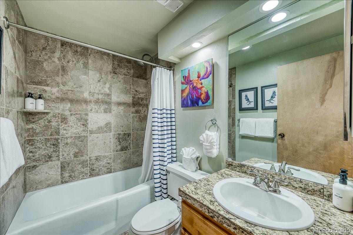 MLS Image #17 for 645 s park avenue 303,breckenridge, Colorado