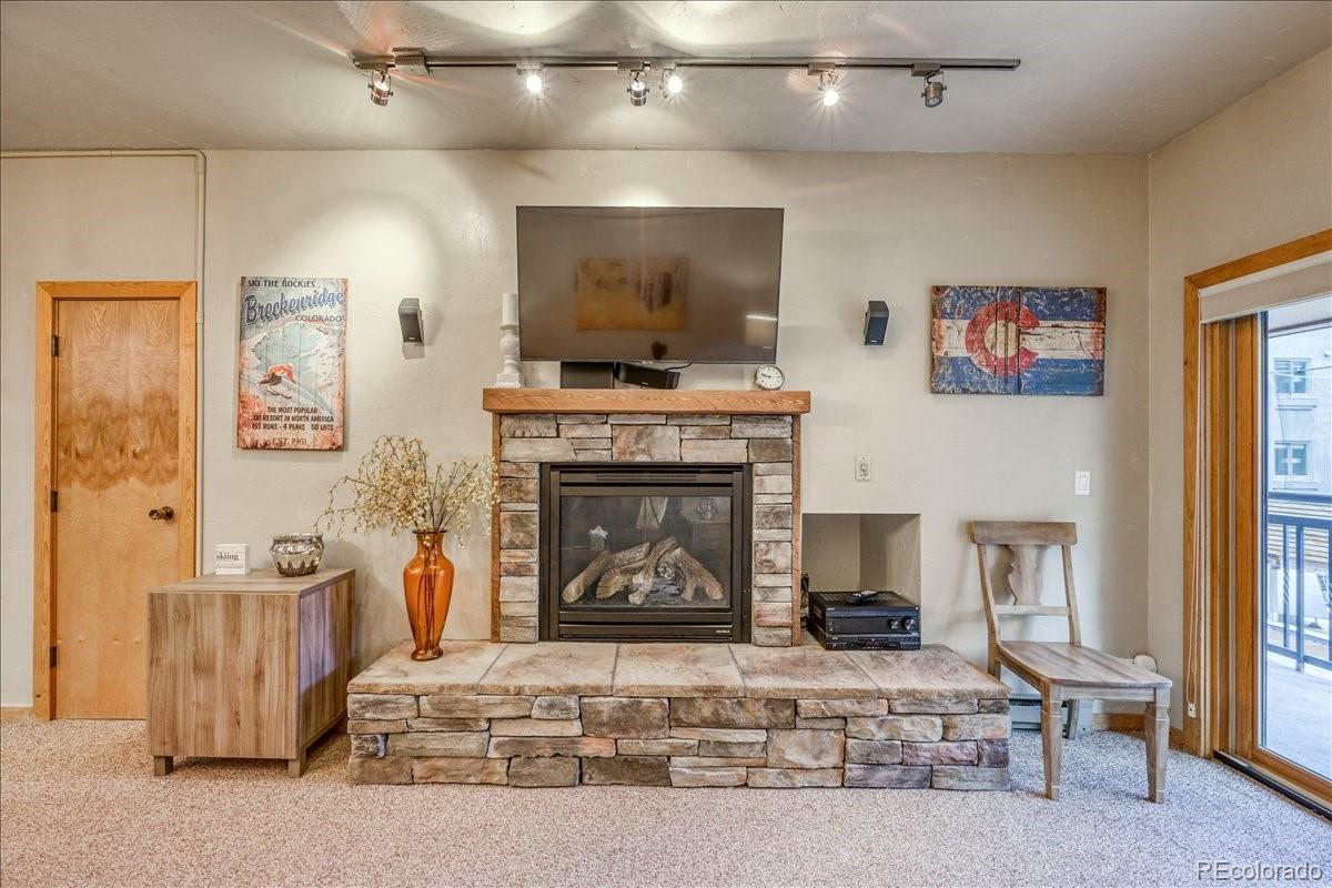 MLS Image #3 for 645 s park avenue 303,breckenridge, Colorado