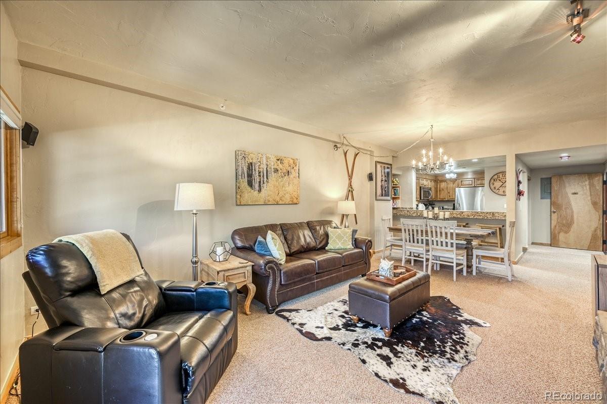 MLS Image #6 for 645 s park avenue 303,breckenridge, Colorado