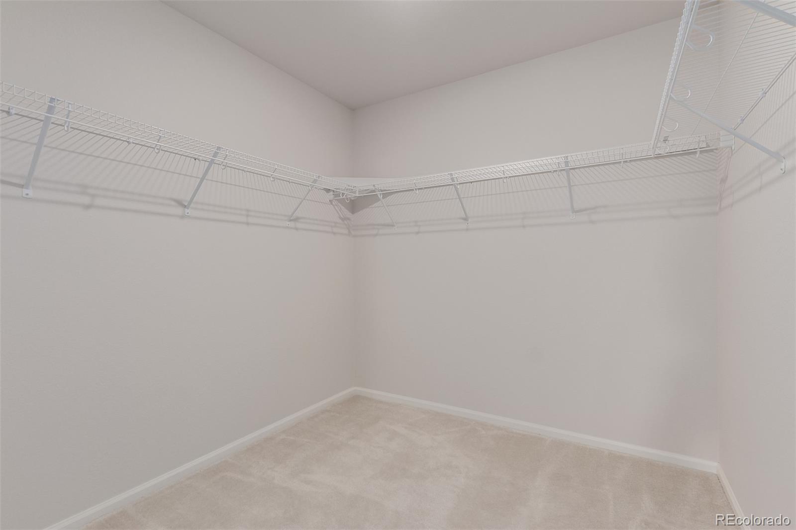 MLS Image #15 for 3827 n grand baker street,aurora, Colorado