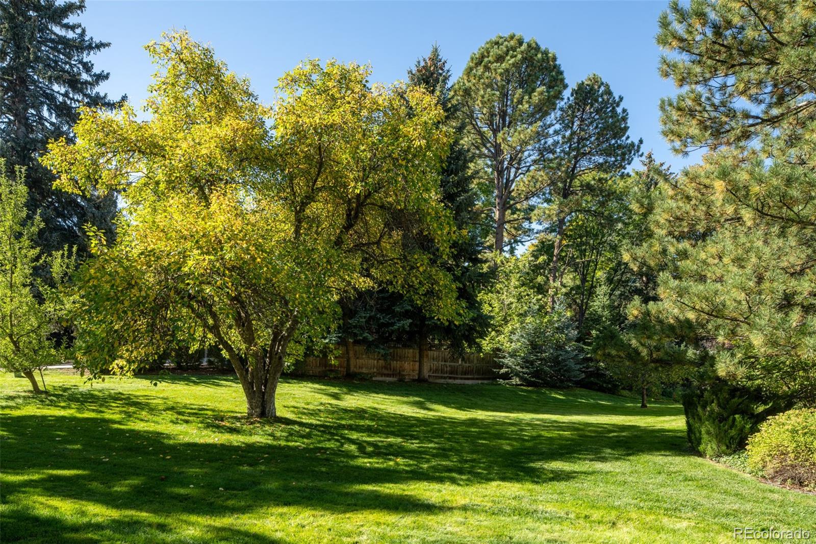 MLS Image #6 for 3330  belcaro drive,denver, Colorado
