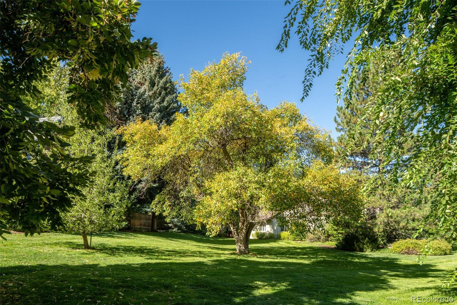 MLS Image #8 for 3330  belcaro drive,denver, Colorado