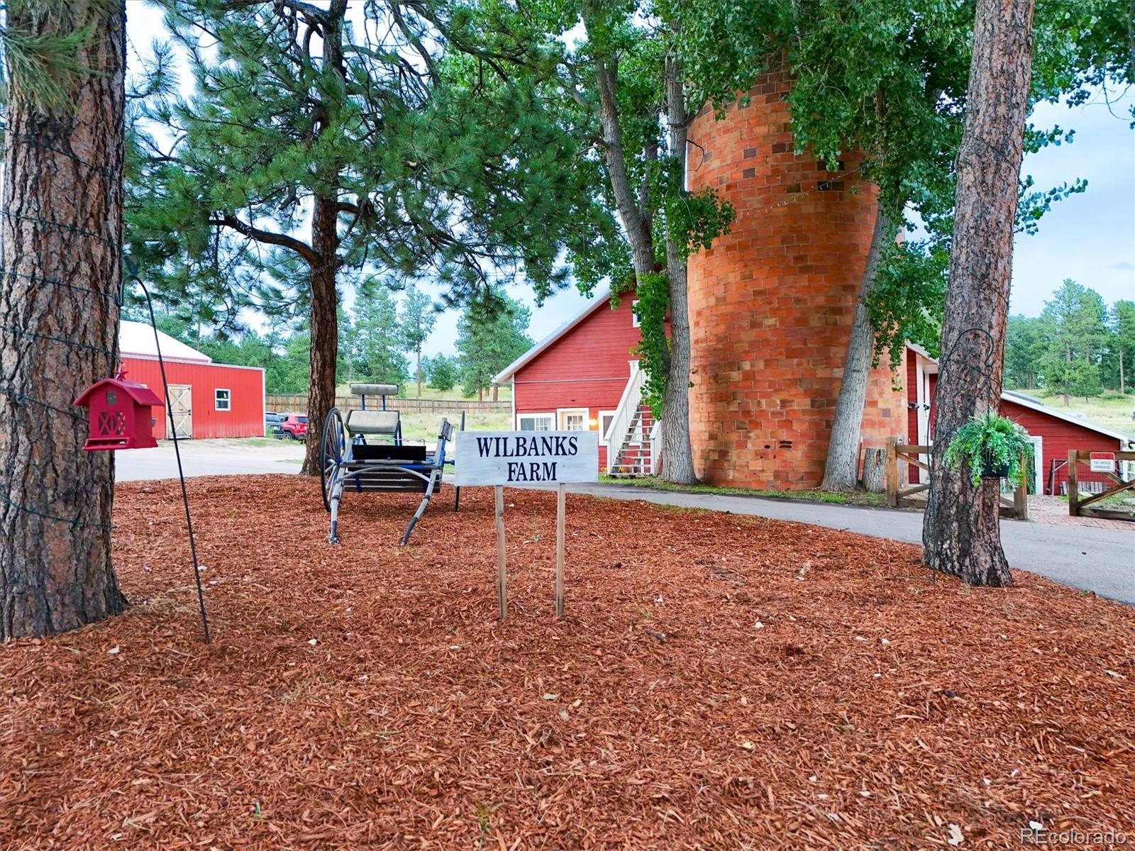 MLS Image #5 for 233  perry park avenue,larkspur, Colorado
