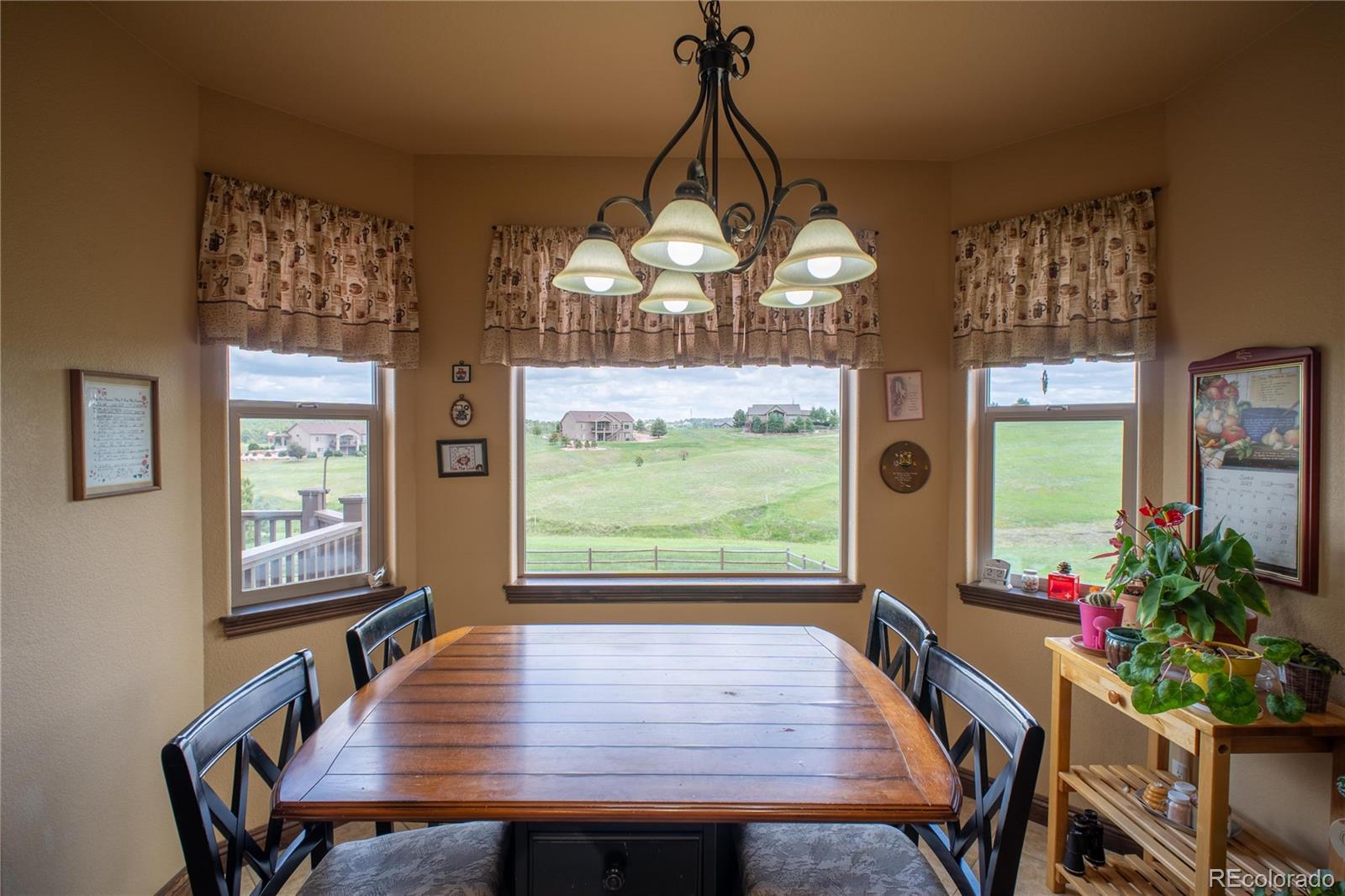MLS Image #10 for 16983  carriage horse drive,colorado springs, Colorado