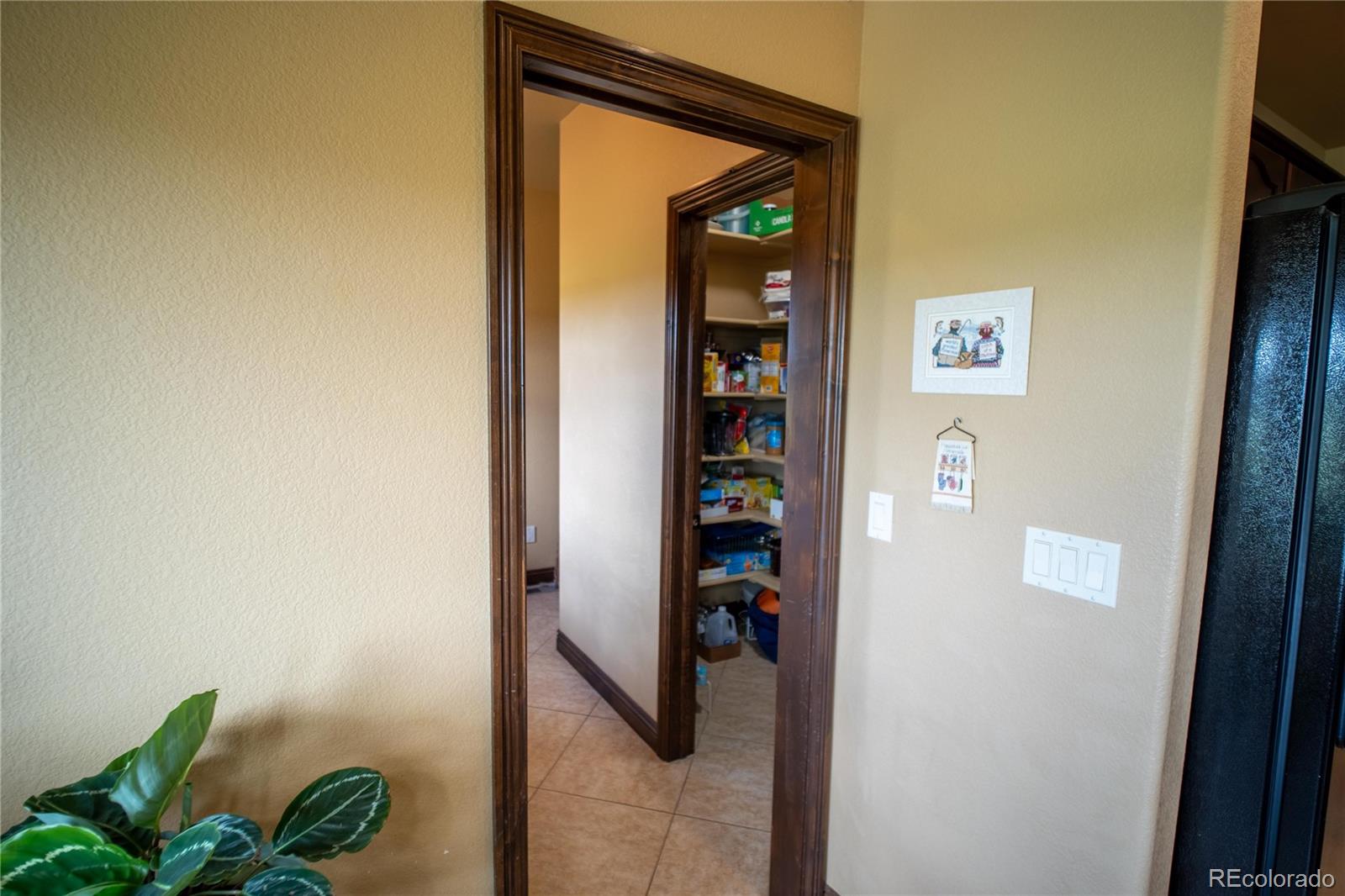 MLS Image #20 for 16983  carriage horse drive,colorado springs, Colorado