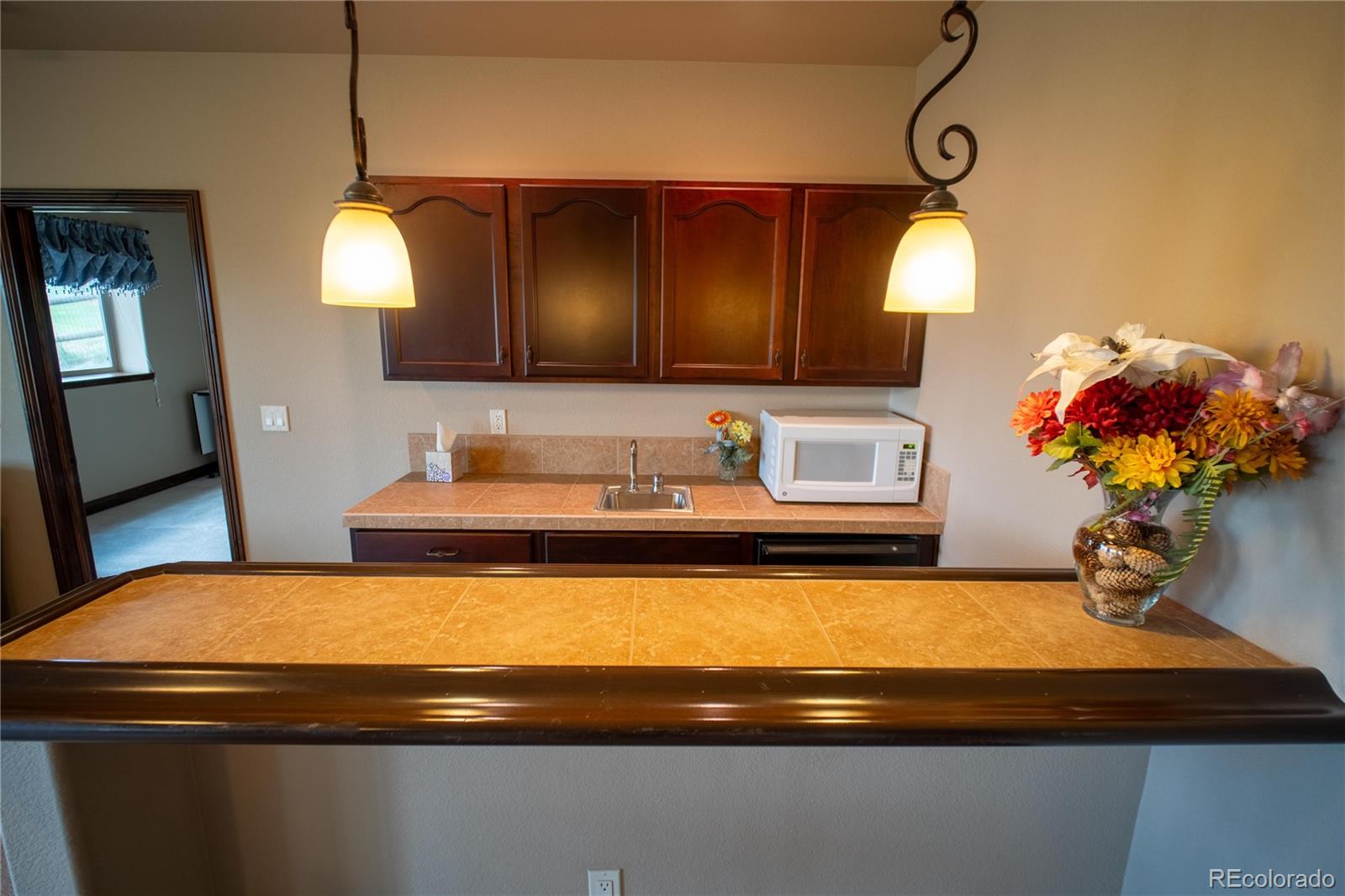 MLS Image #26 for 16983  carriage horse drive,colorado springs, Colorado