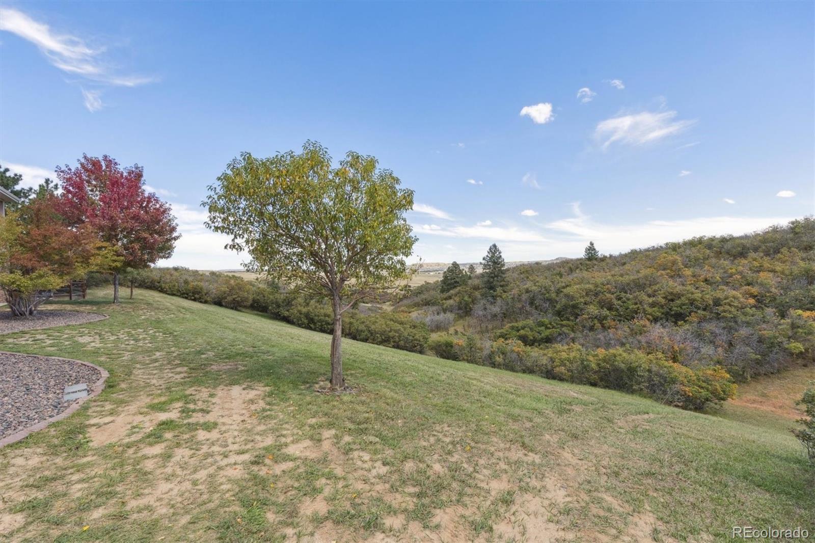 MLS Image #6 for 1310  colt circle,castle rock, Colorado
