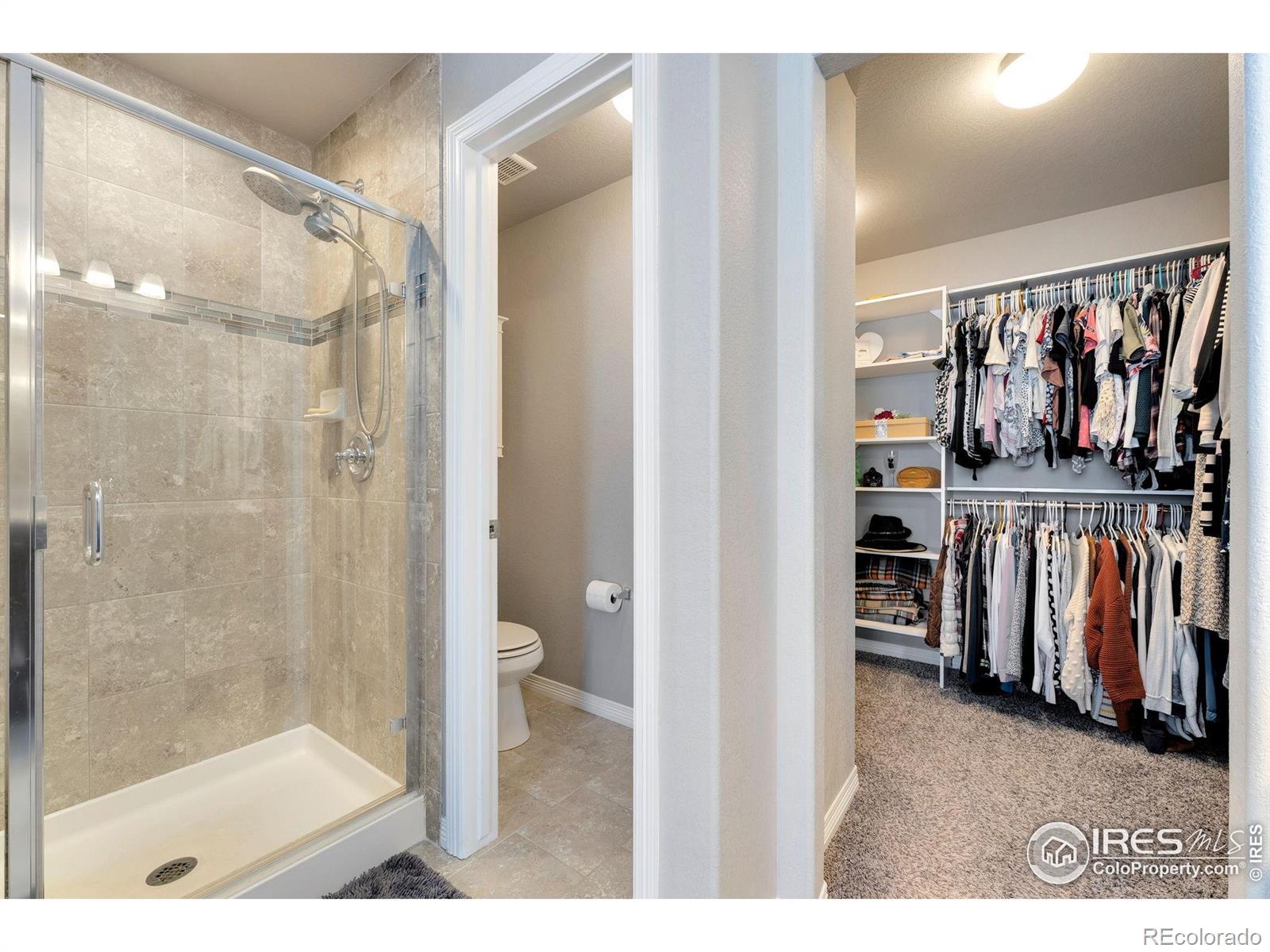 MLS Image #25 for 1760  ruddlesway drive,windsor, Colorado