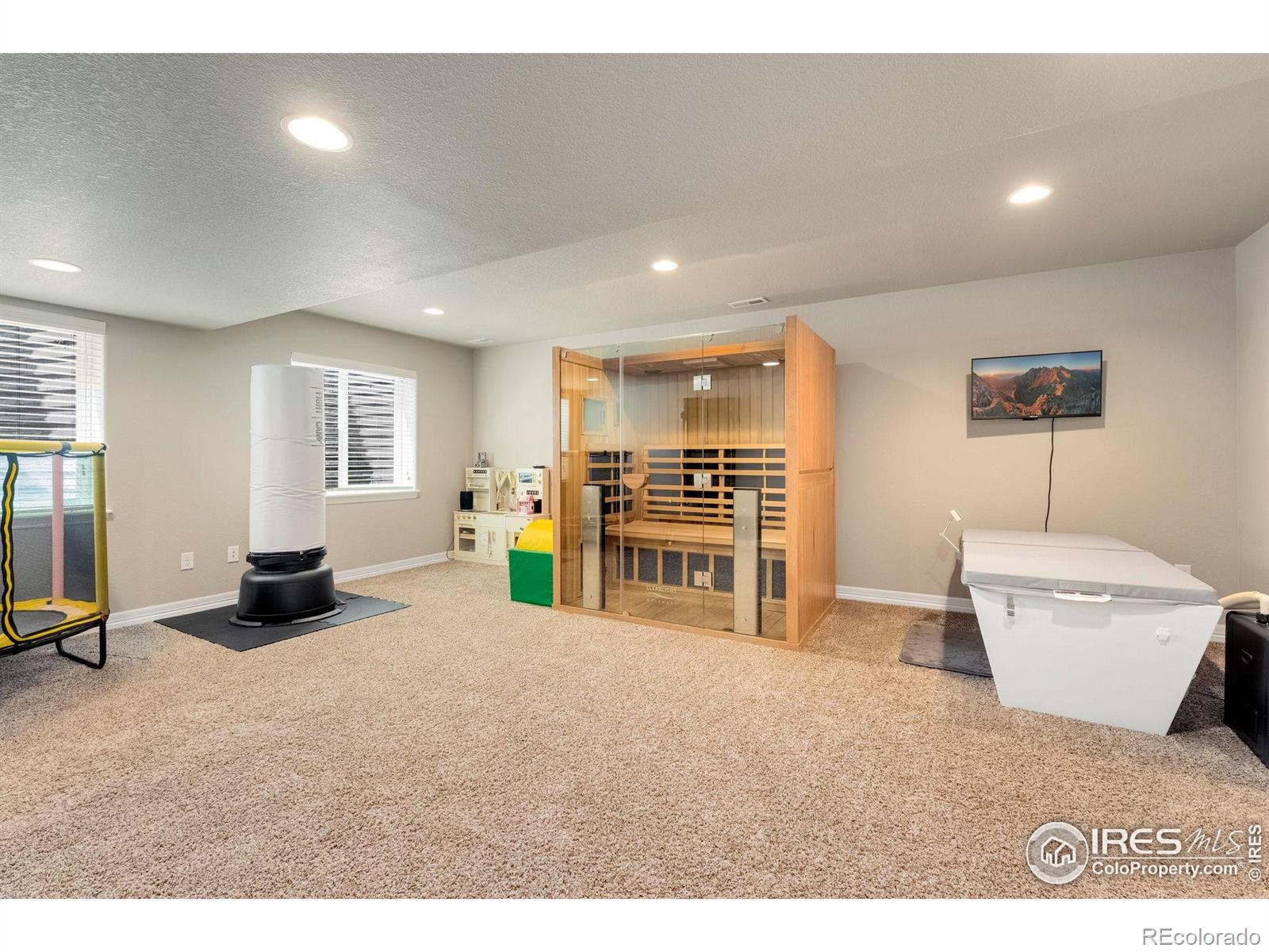 MLS Image #33 for 1760  ruddlesway drive,windsor, Colorado