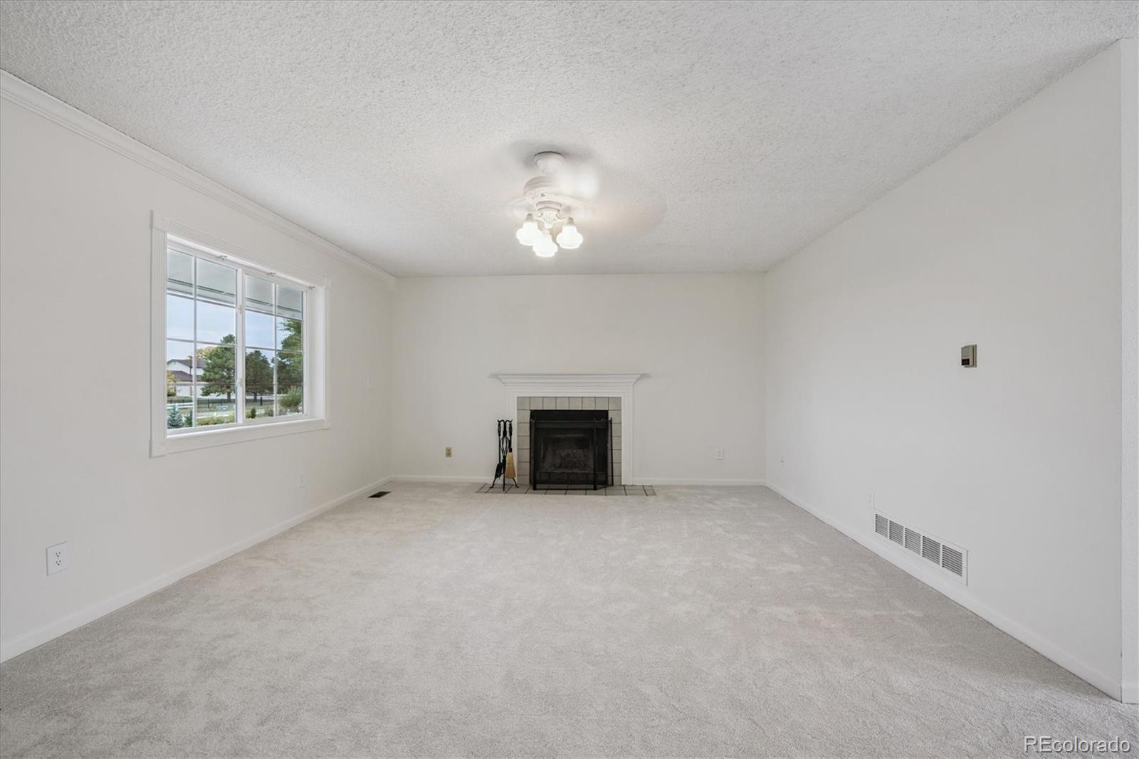 MLS Image #3 for 2950  eclectic court,watkins, Colorado