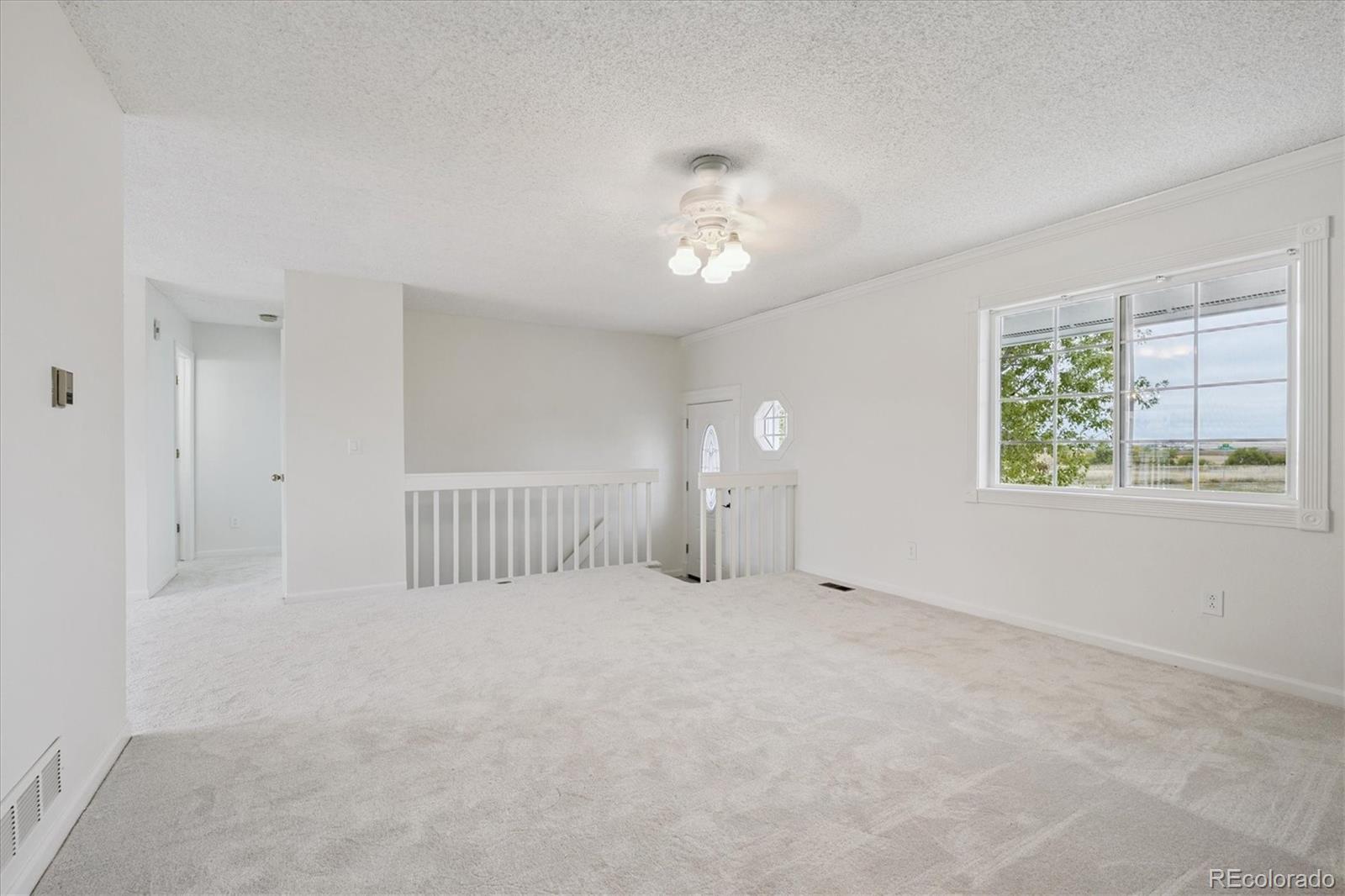 MLS Image #4 for 2950  eclectic court,watkins, Colorado