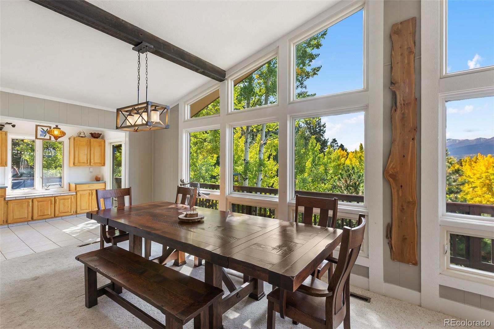MLS Image #13 for 1051  forest hill road,woodland park, Colorado