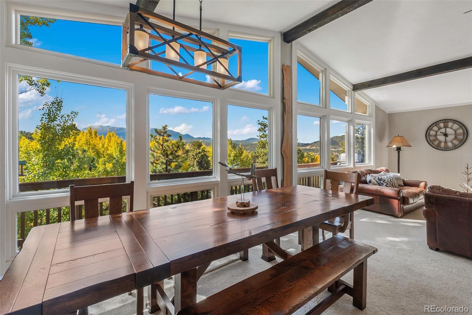 MLS Image #14 for 1051  forest hill road,woodland park, Colorado