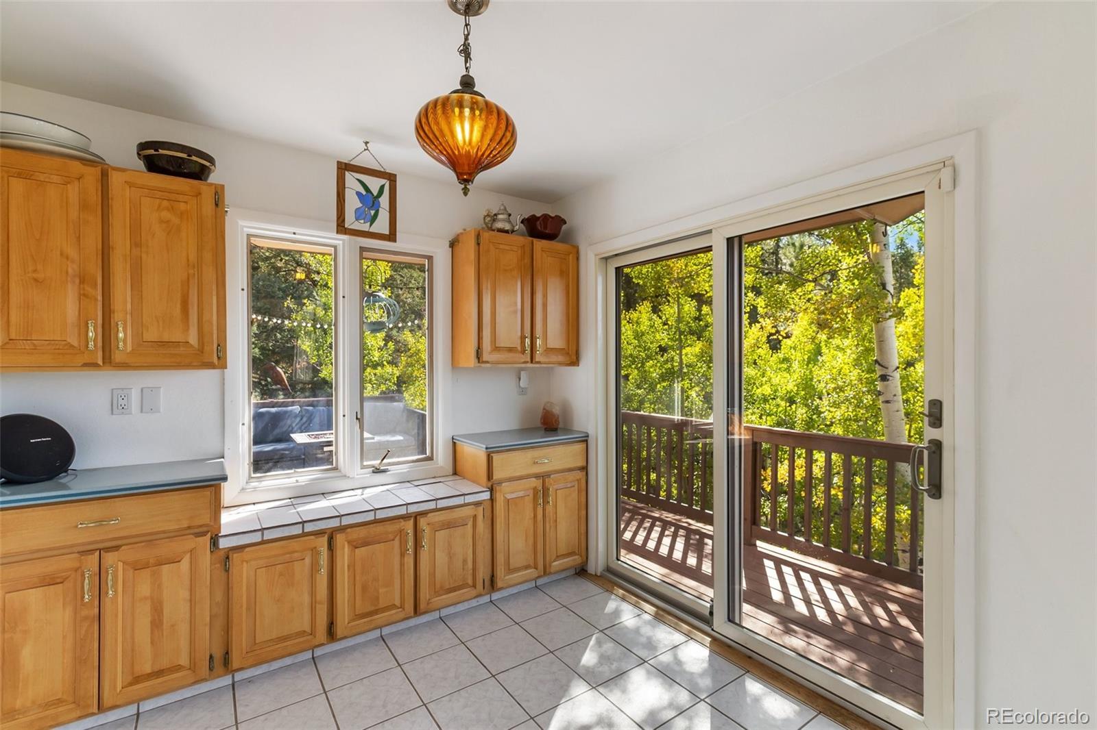 MLS Image #15 for 1051  forest hill road,woodland park, Colorado