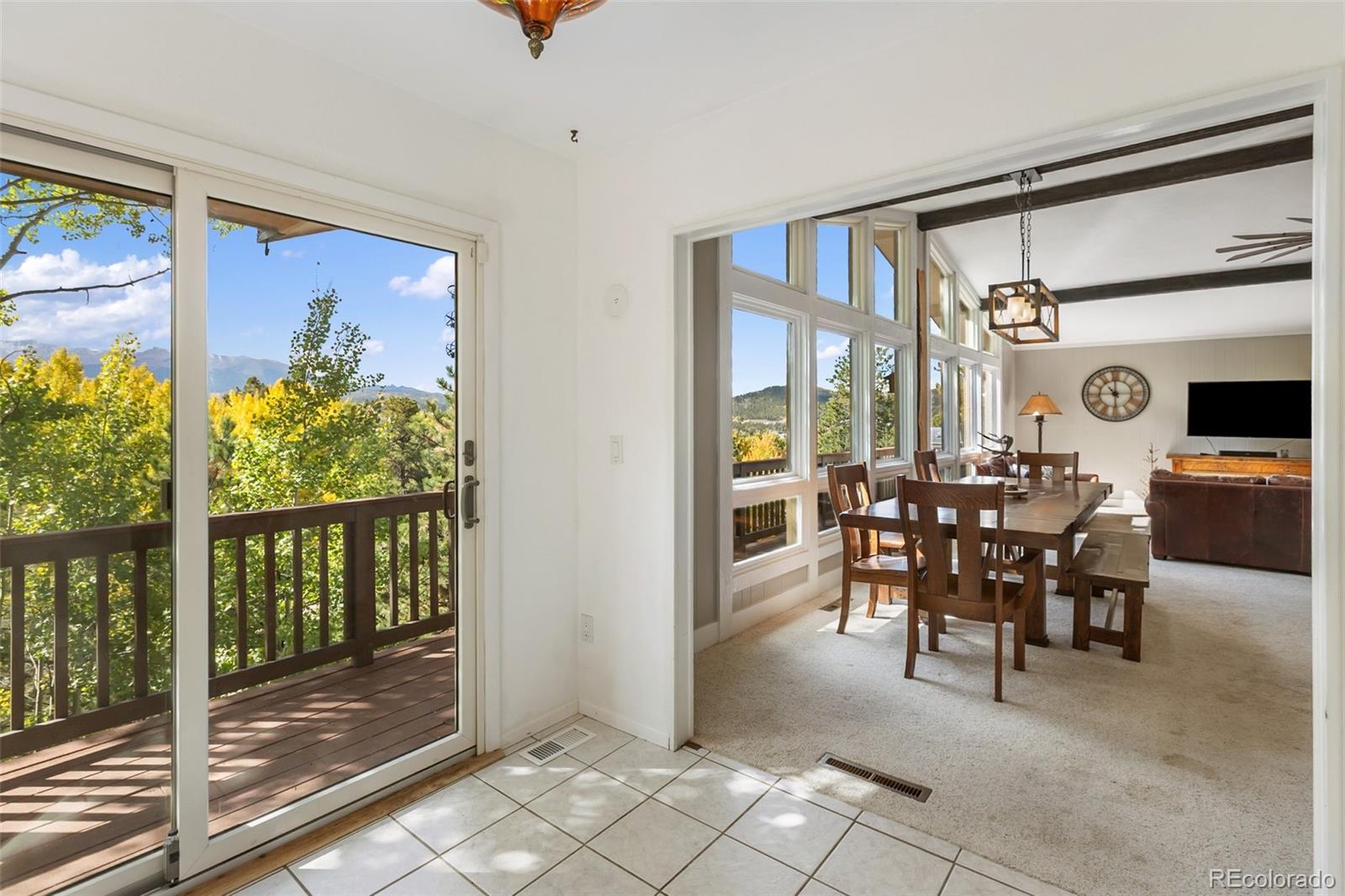 MLS Image #19 for 1051  forest hill road,woodland park, Colorado