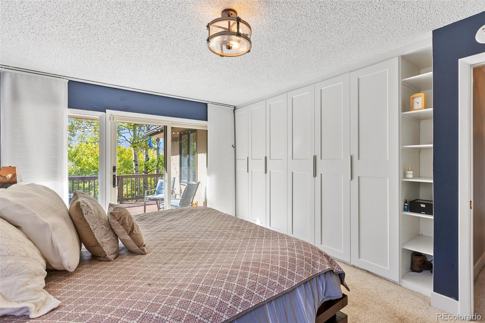 MLS Image #20 for 1051  forest hill road,woodland park, Colorado