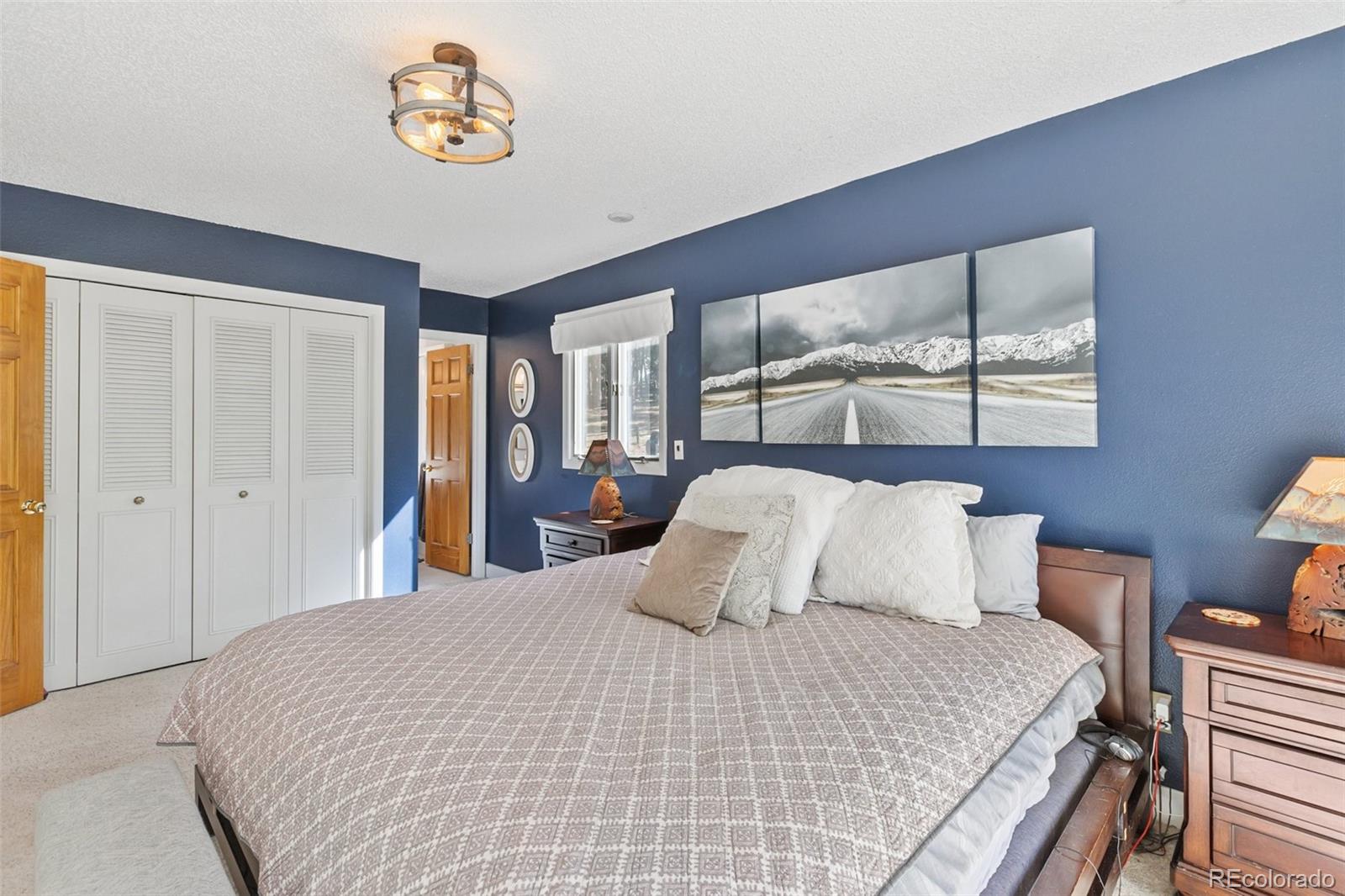 MLS Image #22 for 1051  forest hill road,woodland park, Colorado