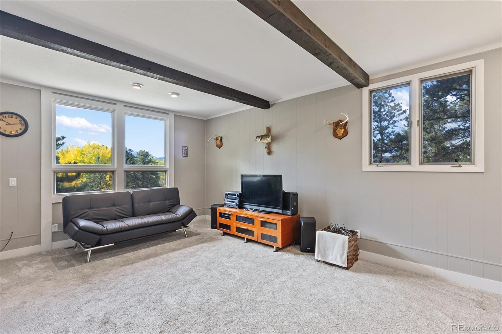 MLS Image #31 for 1051  forest hill road,woodland park, Colorado