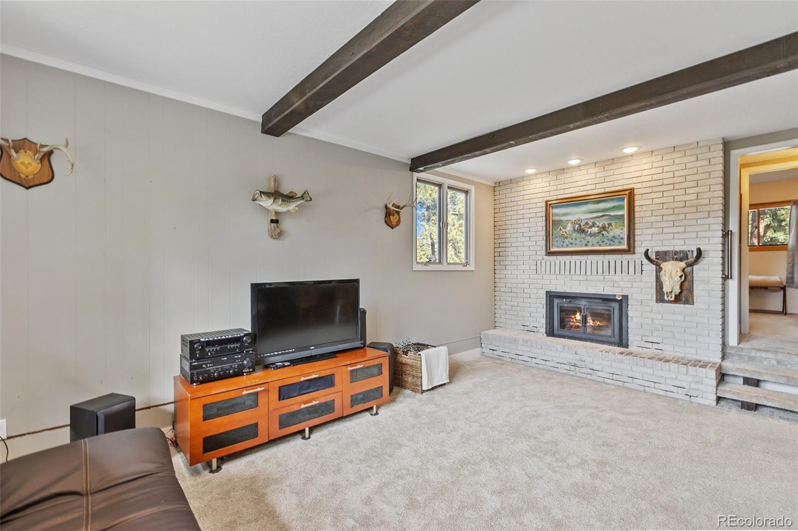 MLS Image #33 for 1051  forest hill road,woodland park, Colorado