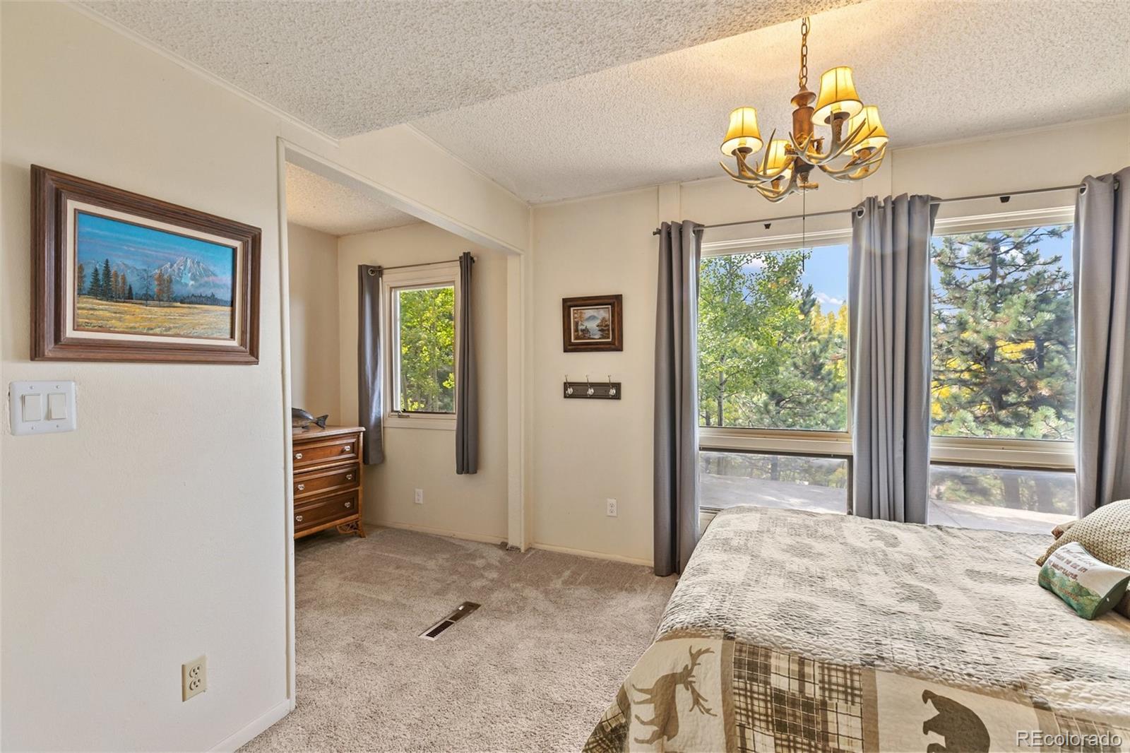 MLS Image #38 for 1051  forest hill road,woodland park, Colorado